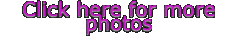 Click here for more photos